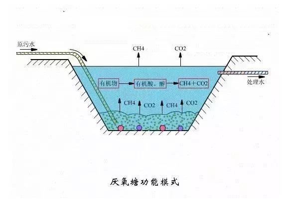 1617954067257768.jpg 1.jpg